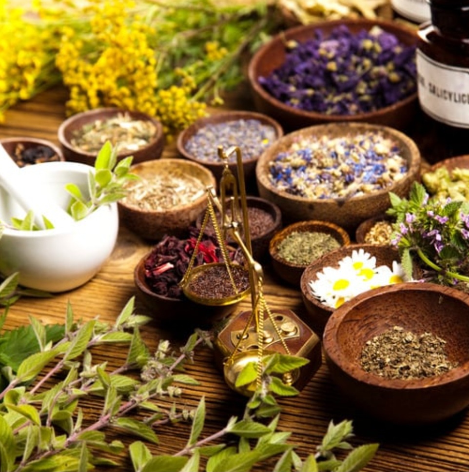 les plantes médicinales et la beauté