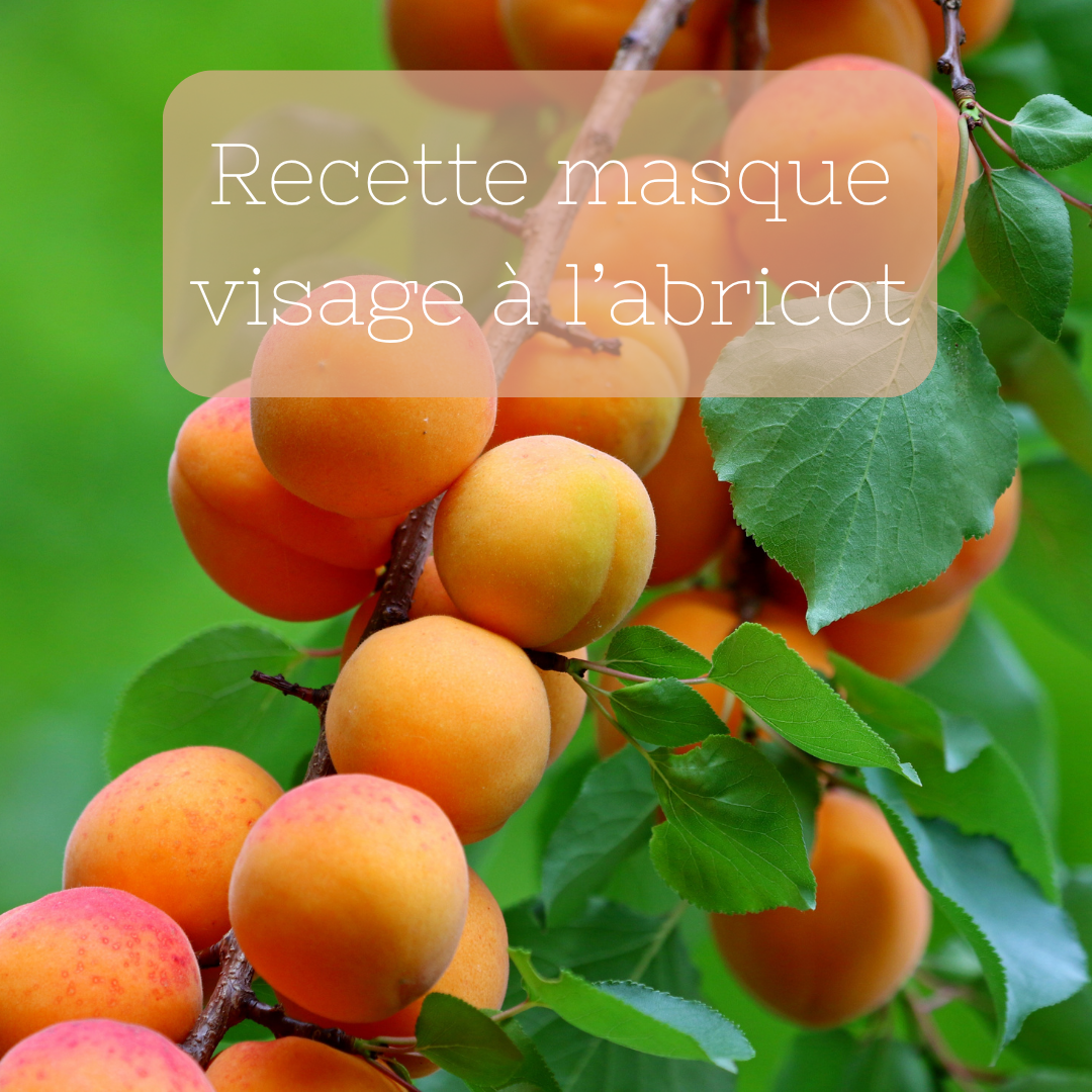 masque visage abricot